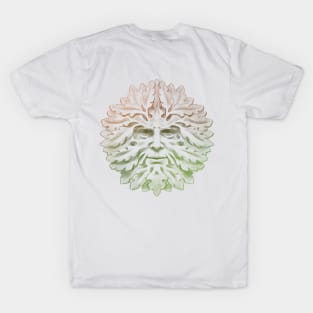 Nature Man 2 | Gandhara T-Shirt